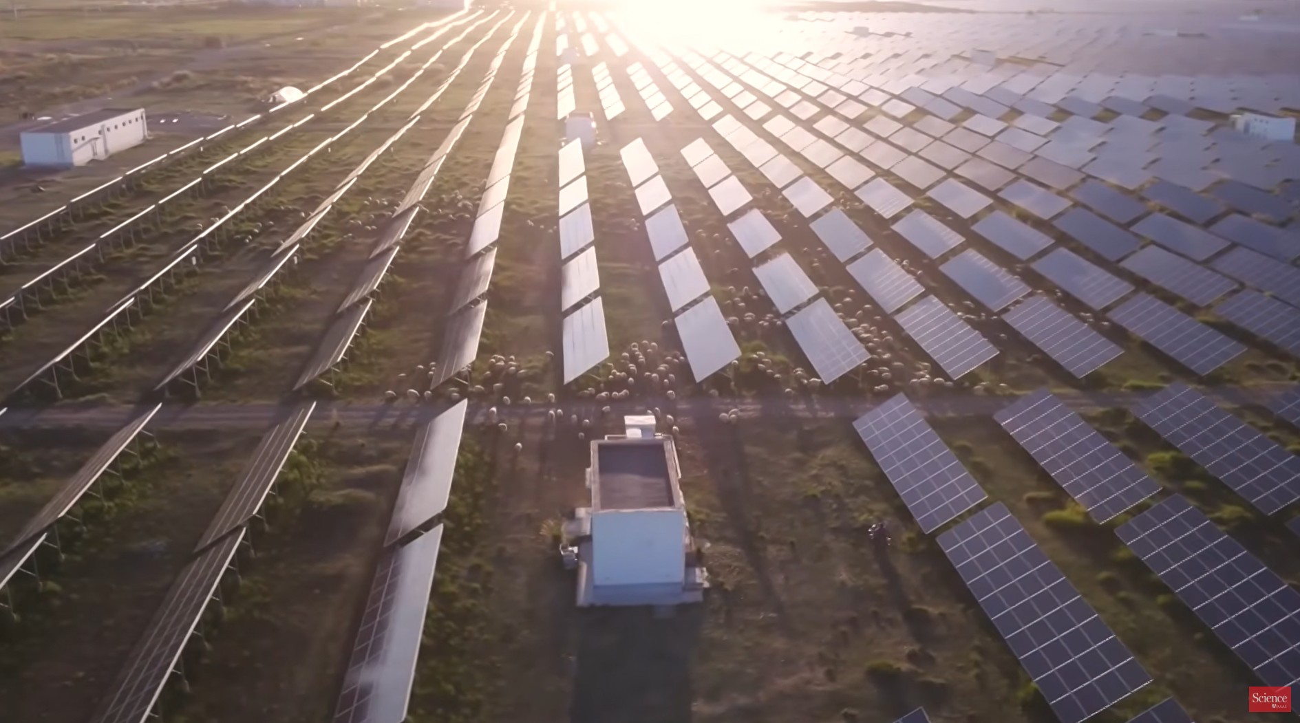 Science Crowns Renewable Energy ‘Breakthrough of the Year’ as Fossil Fuels Stall