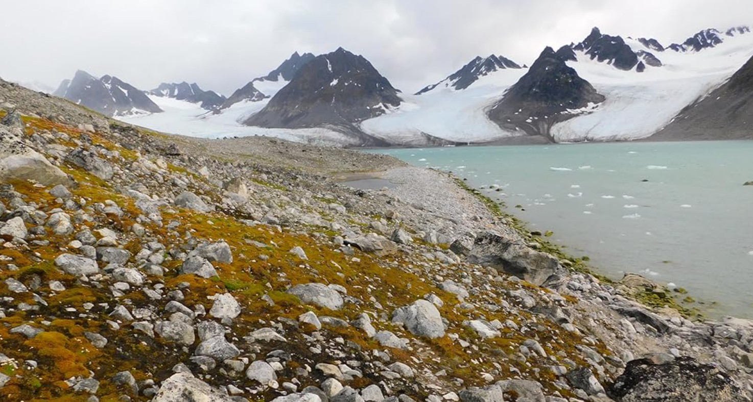 ‘One of the Dumbest Ideas’: Zeihan Tears Apart Push for US Control of Greenland